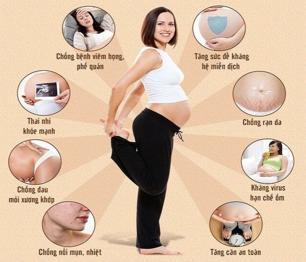 Công dụng nổi bật khi dùng tổ yến