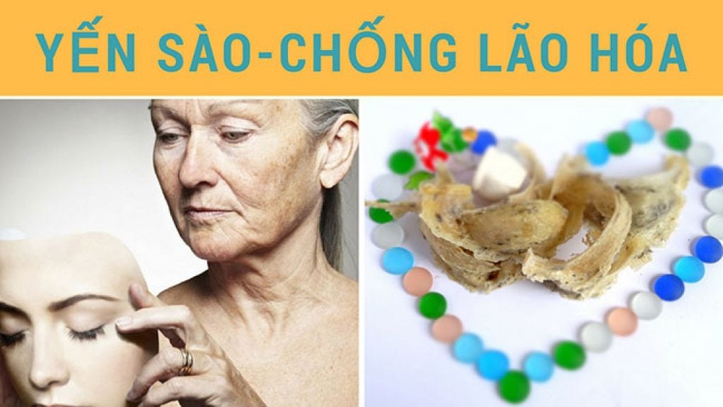 Yến sào cho người già giúp chống lão hóa